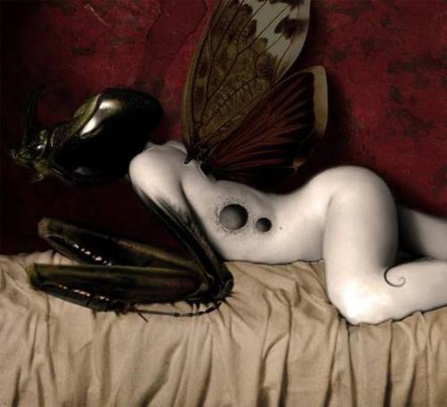 voodoo-sugar: by Baris Gurbuz