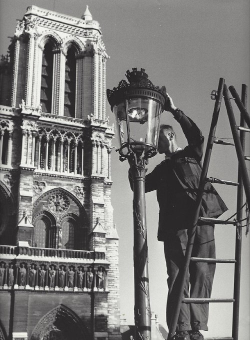 valentinoscicolone:Notre-Dame de Paris