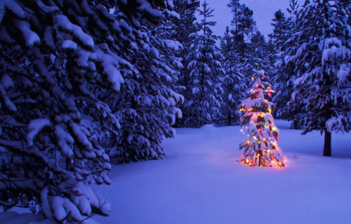rosieandherramblings:  Merry Christmas!