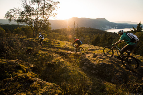 chirosangaku:  Video: The Staycation - A Vancouver Island Adventure - Pinkbike