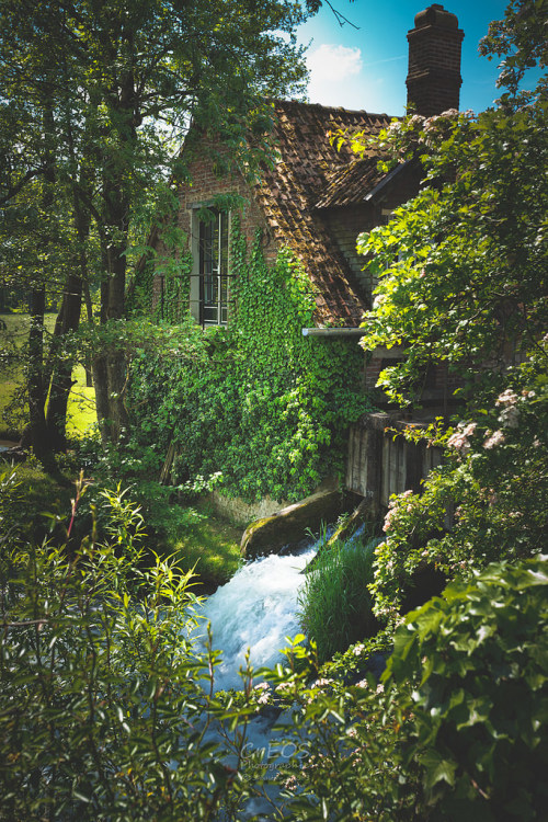 Porn photo allthingseurope:  Recques-sur-Course, France