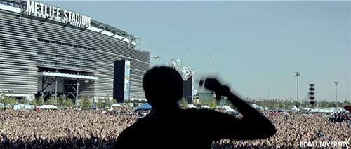 tumblr_ms1sws4O5i1qmhffqo1_500.gifv