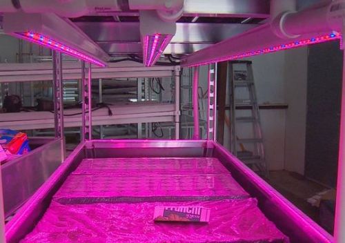 Indoor farming: Agriculture&rsquo;s next revolution?Great video when you click the title link! There