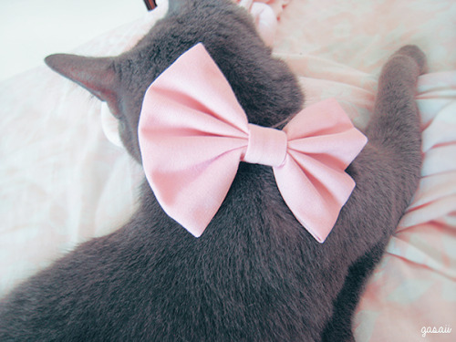 lacebowlittle:  Pink bow by Sweetheart Bows ❀ Full review 