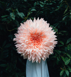  Crepe Paper Flower by Papel SF 