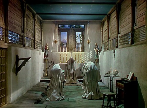 black narcissus