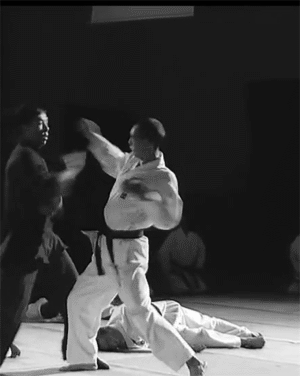 sifu-taichi-kungfu:  Wow, No-shadow-hand from Ip man!!