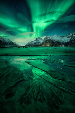 enchanting-landscapes:  nordlys by D-P Photography