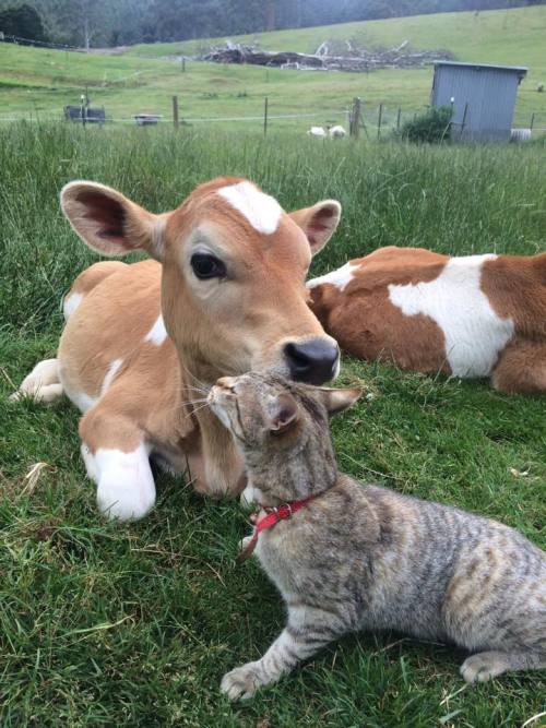 spacebuns:ohhhhh my goodness ohhhhhhhhhhhh my god ohhhhhhhhh wooooowwwweeeee