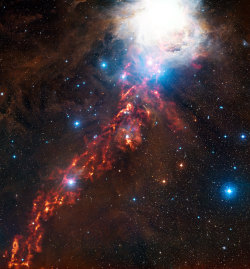 rorschachx:  This dramatic new image of cosmic clouds in the constellation of Orion reveals what seems to be a fiery ribbon in the sky. This orange glow represents faint light coming from grains of cold interstellar dust, at wavelengths too long for human