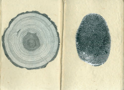 beautifulurself:  i don’t know where this image originates, but it’s been on my mind a lot lately. finger prints and tree rings. identifiers of life lived. 