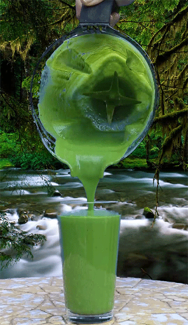 motiveweight:  Green Smoothies are usually made by blending green raw leafy vegetables, such as spin