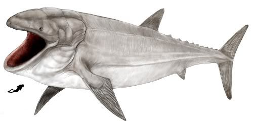 lostbeasts:  boogerashes:  deamhan:  The Largest fish that ever lived.  Leedsichthys was a giant fish that would have dwarfed every other animal in the sea, but it was a gentle giant that lived on the tiny shrimps, jellyfish and small fish that make