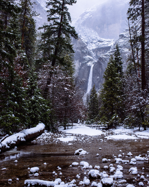 earthporn-org: Yosemite creek and Lower Yosemite Falls from this past winter