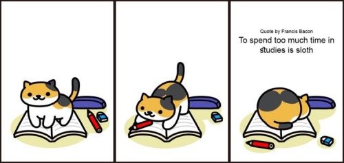 somagramme: Neko Atsume wisdom (pt. 2)