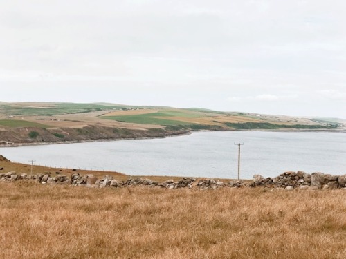 wildwoodcreek:southwest scotland.