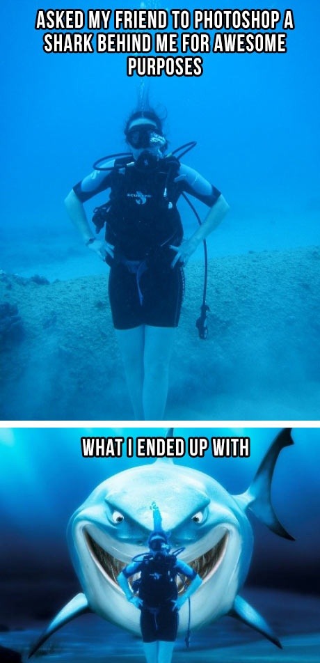 A sense of humour with bite