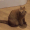 waspcup:waspcup:Is that your phone in your pocket or are yuo penis just square and