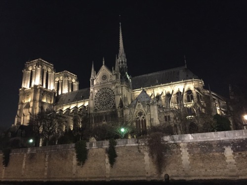 Cathedral Notre Dame, Paris 2016