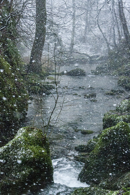 the-forces-of-nature:  not long now by fotodayz on Flickr. 