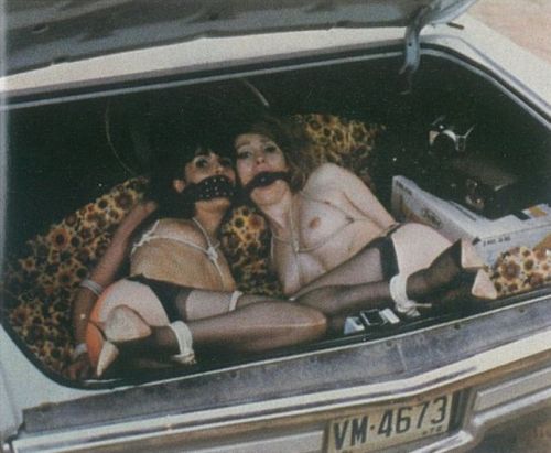 ariaonthefloor:  thinkivykink:  I realize that a lot of the things that would make my abduction fant