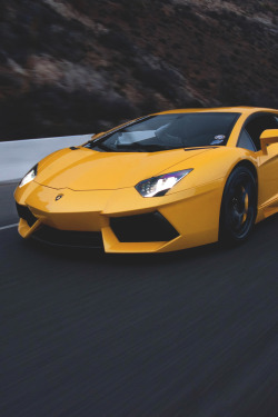 obscvr:  Lamborghini Aventador ~ (Source)