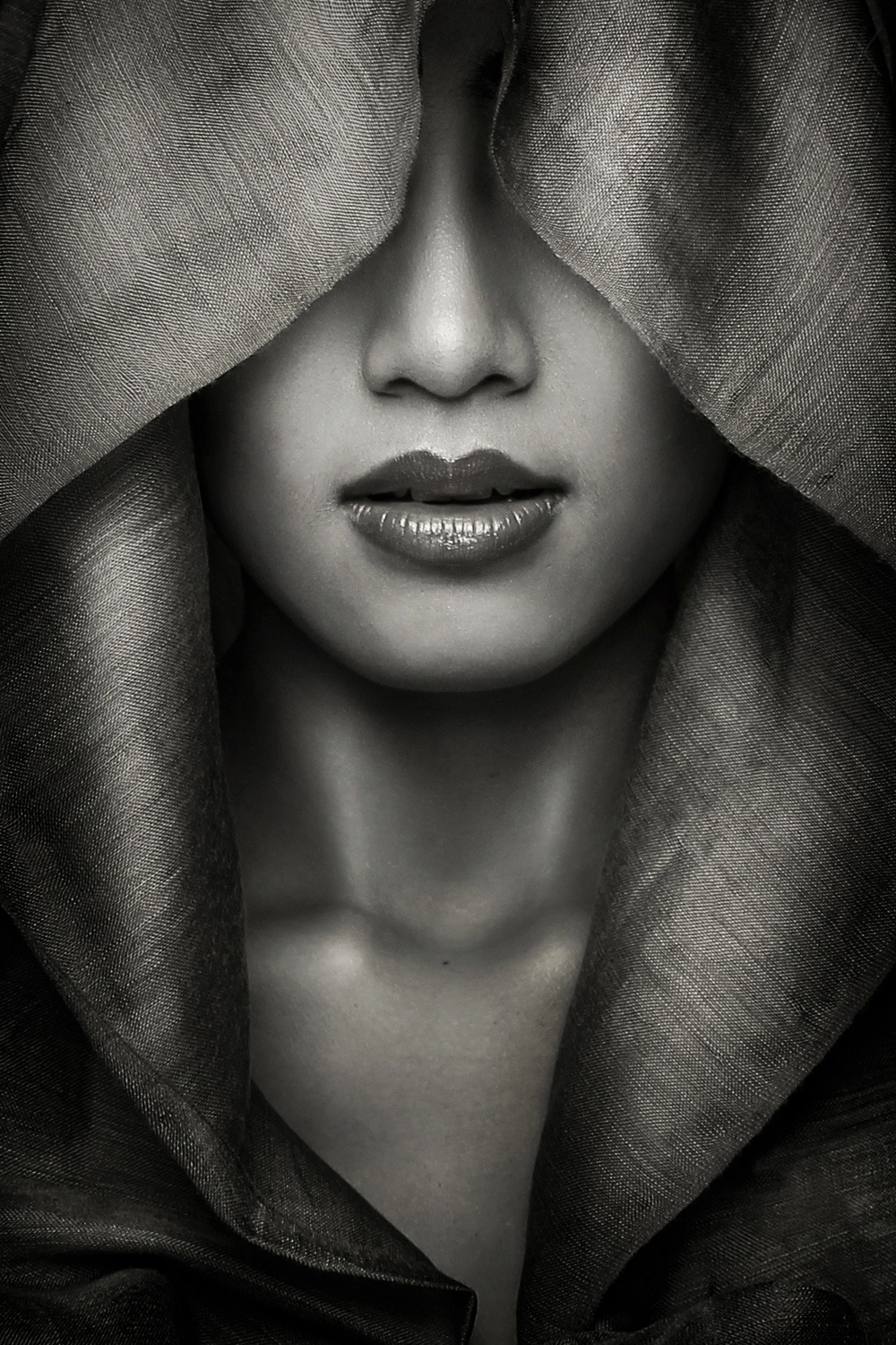 palavre:  Hood