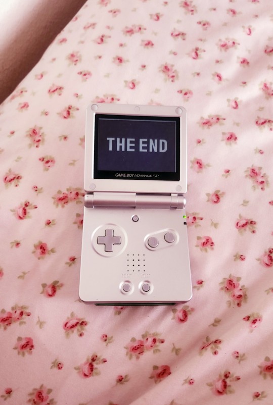 Tumblr media