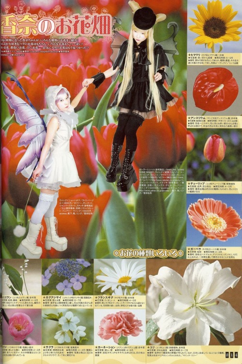 malutianshi: moon kana in gothic &amp; lolita bible (vol. 25)