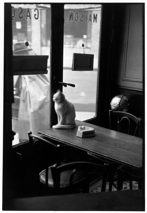 Porn foxesinbreeches:  Henri Cartier-Bresson Paris, photos