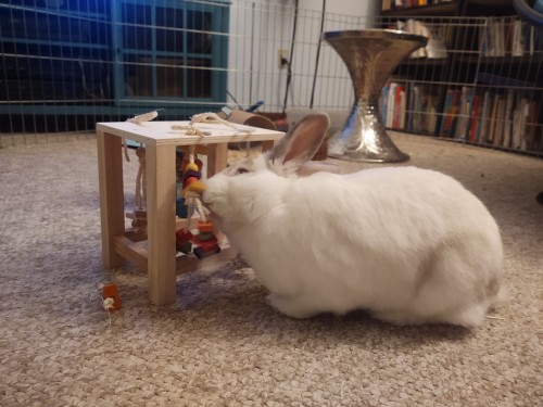 My Darling Baby Boy Celebrated The Holidays This Week...