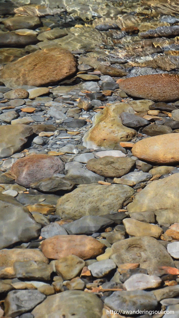 dolci limpide acque..  arrampicate su un fiume millenario&hellip; fluttuanti