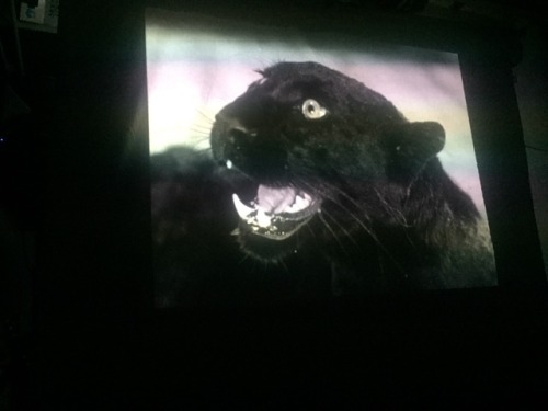 Cat People (1942), Jacques Tourneur.