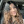 lostsoul1220:  barrio-barbie:I DID THAT SHIT OUTTA LOVE DONT EVER THINK YOU FINESSED