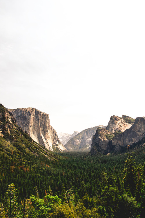 onlydillon:Tunnel View, Yosemite -- Dillon Makar    Instagram|Tumblr