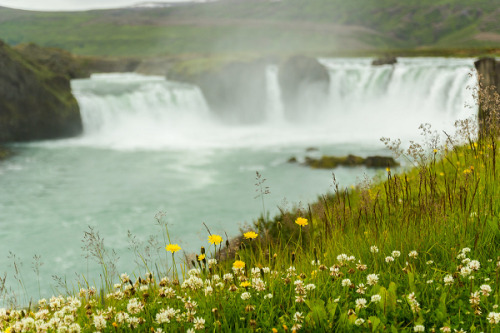 edotensei:Goðafoss waterfall, Tim&amp;Elisa