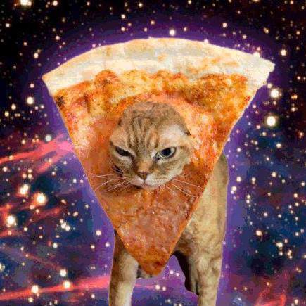 Cosmic Pizza Cat. - D