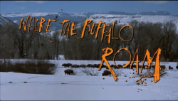 movie-clip:  &ldquo;You couldn’t invent someone like Carl Lazlo. He was a… he was one of a kind. He was a mutant. A real heavyweight water buffalo type…&rdquo; Where the Buffalo Roam (1980) dir. Art Linson