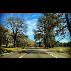 #mendo #beautiful #hwy101  (at Laytonville,