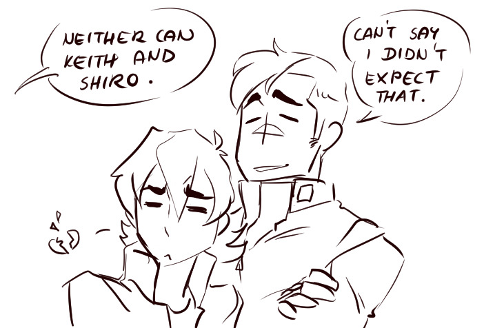 littlecofiegirl: I love the Voltron family. The team build up is to avoid the injokes