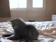 Mfw I spot a person I know and haven’t talked to in ages due to horrible shit happening