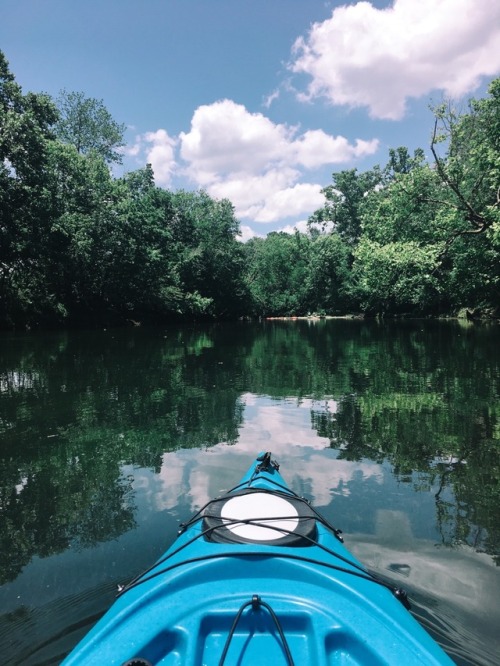 kayaks