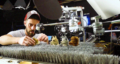 Making Of Isle Of Dogs