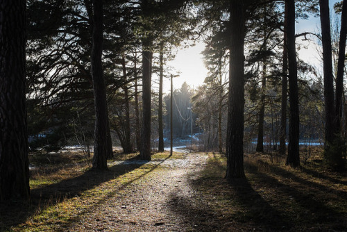 March_2014_56 by HOKarlsson on Flickr.