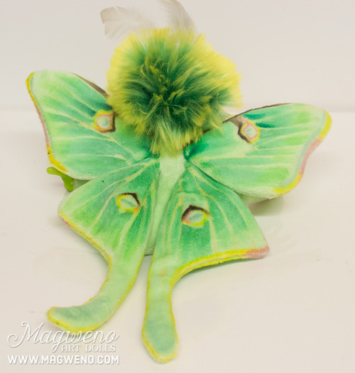 invertebrates:magweno:New Luna mof just finished for a customer! You can order your own luna here! £