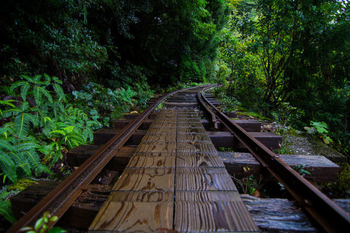 Yakushima Island by sho0414 on Flickr.