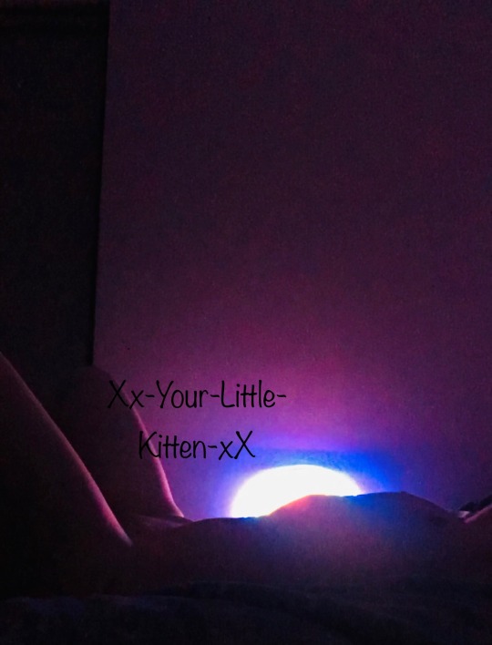 Kitten_Xx