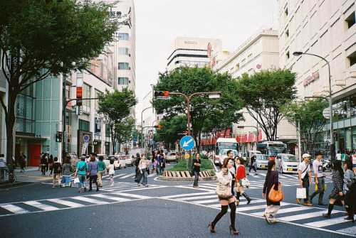 a-japaneseworld: street by motnorm on Flickr.