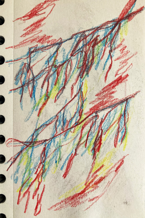 Weeping Willows Weeping PinesIve Been On Tree Studies In Bulgaria, Felt Like Showing Something Of It