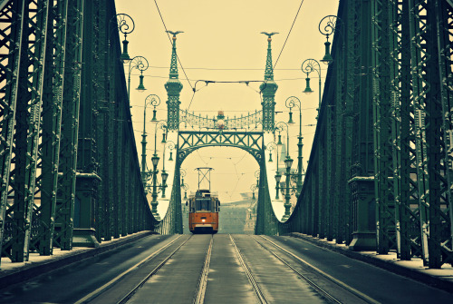 February 2013, Budapest
Szabadság híd © #Szabadság híd#Hungary#Budapest#Bridges#Snow#Winter#Tram#Villamos#Classic#Photography#magyarország